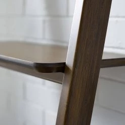 Currant 70.1 in. Black Walnut Bamboo 4-Shelf Ladder Bookcase by Greenington 13 Currant 70.1 in. Black Walnut Bamboo 4-Shelf Ladder Bookcase by Greenington -Greenington Shop black walnut greenington bookcases bookshelves g0049bl c3 1000