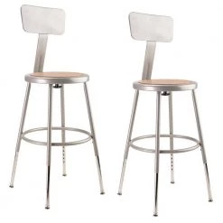 NPS 19 in. -27 in. Grey Height Adjustable Heavy Duty Steel Stool With Backrest (2 Pack) by National Public Seating