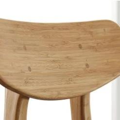 Cassia Caramelized 100% Bamboo Dining Chair (Set of 2) by Greenington -Greenington Shop caramelized greenington dining chairs gca002ca 44 1000