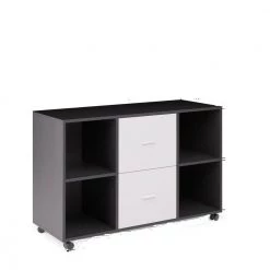 Light Grey Mobile Lateral Filing Cabinet with 360° swivel casters 2 Drawers and 4 open Storage Cabinets by VERYKE